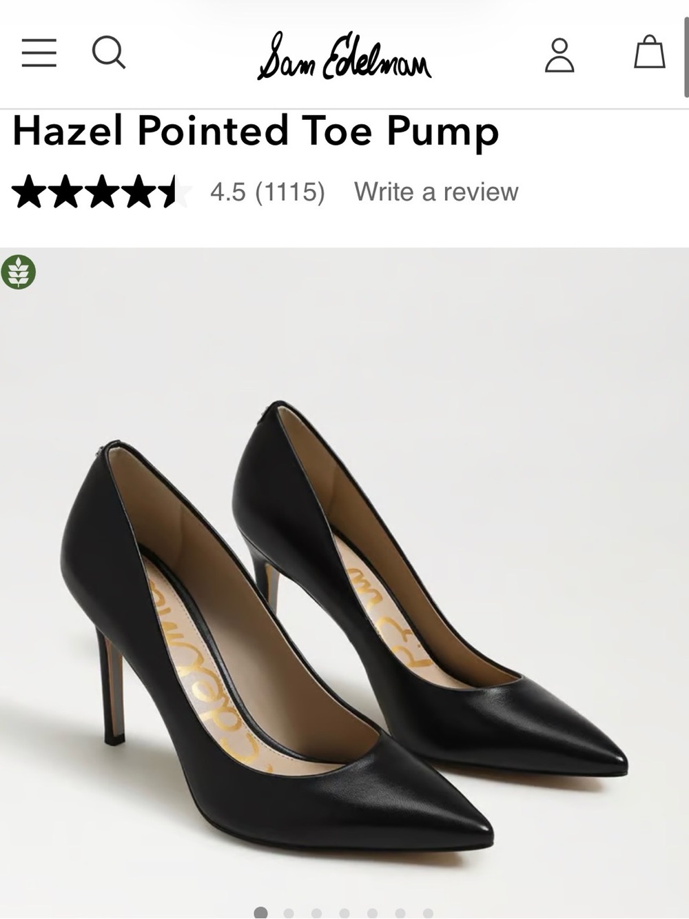 Sam Edelman Black Pointed-Toe Hazel Pump
